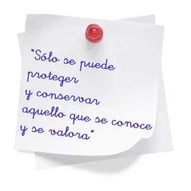 Sevilla interpretacion del patrimonio cultural